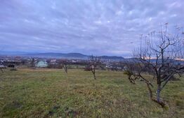 Teren de vânzare – 10 ari intravilan | Zona Unirea | La drumul principal