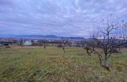 Teren de vânzare Exterior Vest - 166515TV | BLITZ Bistriţa | Poza2