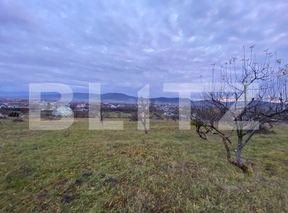 Teren de vânzare Unirea - 183947TV | BLITZ Bistriţa | Poza1