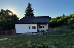 Casa de vanzare , 80 mp ,finisata recent, 25 arii teren, Teaca