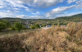 Teren intravilan, 5 ari, zona strada Ghinzii