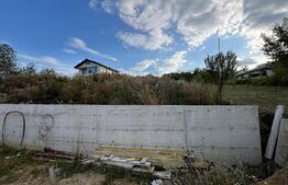 Teren intravilan, 5 ari, zona strada Ghinzii
