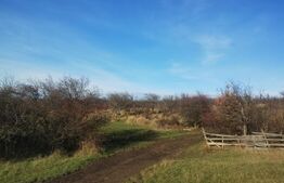 Teren extravilan, 20 ari, livada pomi fructiferi, zona Subcetate