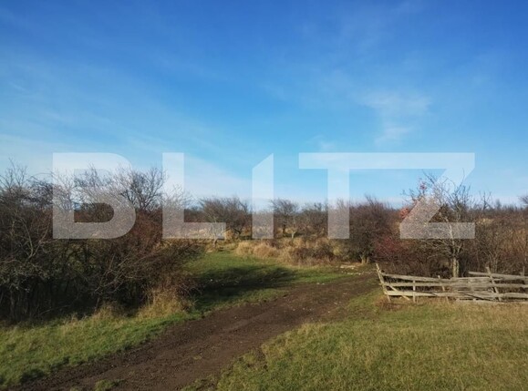 Teren de vânzare Cetății - 184788TV | BLITZ Bistriţa | Poza5