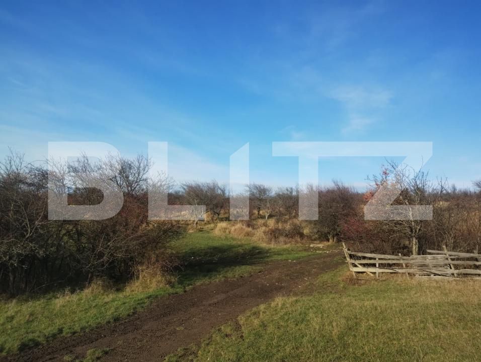 Teren de vânzare Cetății - 184788TV | BLITZ Bistriţa | Poza5