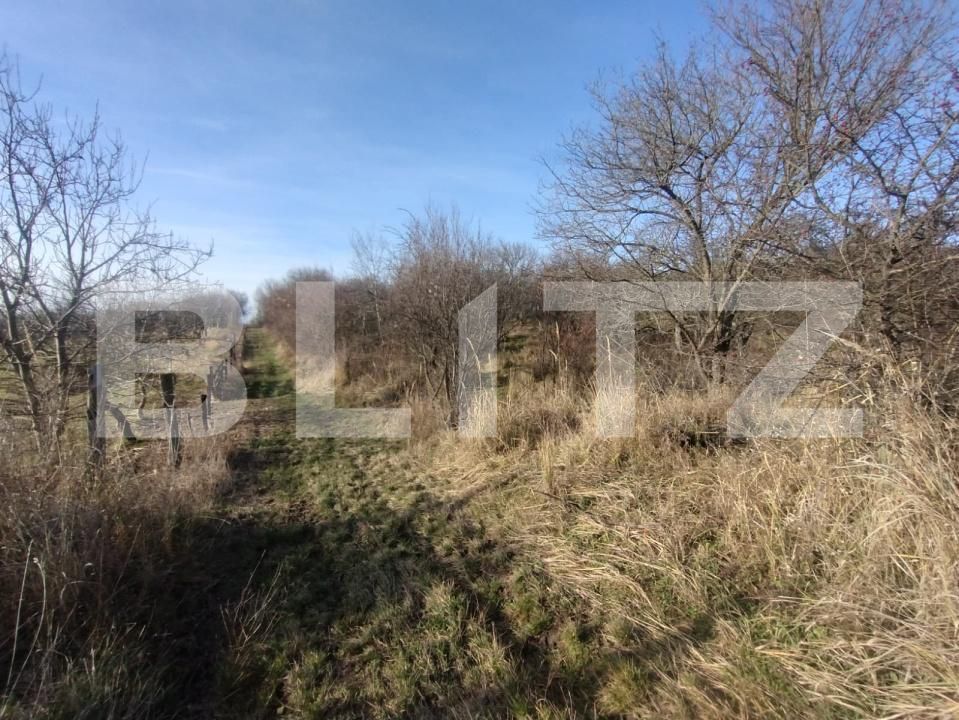 Teren de vânzare Cetății - 184788TV | BLITZ Bistriţa | Poza4