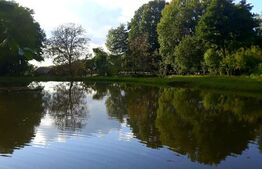 Casa cu 5 camere,  116 mp+teren 83 ari +lac de pesti, zona Budacul de Sus