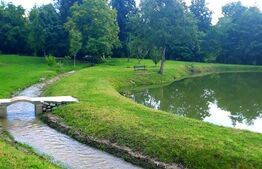 Casa cu 5 camere,  116 mp+teren 83 ari +lac de pesti, zona Budacul de Sus