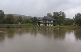 Casa cu 5 camere,  116 mp+teren 83 ari +lac de pesti, zona Budacul de Sus