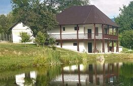 Casa cu 5 camere,  116 mp+teren 83 ari +lac de pesti, zona Budacul de Sus