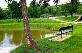 Casa cu 5 camere,  116 mp+teren 83 ari +lac de pesti, zona Budacul de Sus