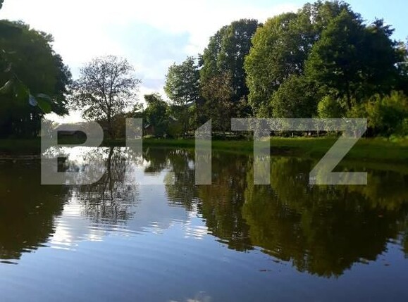 Casa de vânzare 4 camere Exterior Est - 184789CV | BLITZ Bistriţa | Poza5