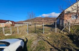 Teren Intravilan Dumitrita