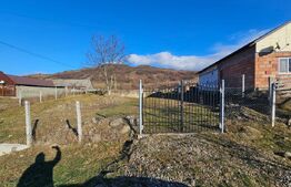 Teren de vânzare Exterior Sud - 139686TV | BLITZ Bistriţa | Poza5