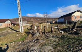 Teren Intravilan Dumitrita