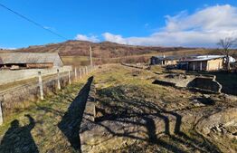 Teren Intravilan Dumitrita