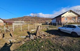 Teren Intravilan Dumitrita