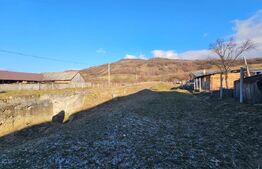 Teren Intravilan Dumitrita