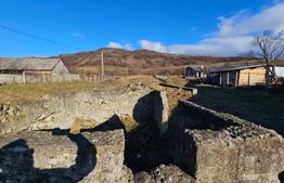 Teren Intravilan Dumitrita