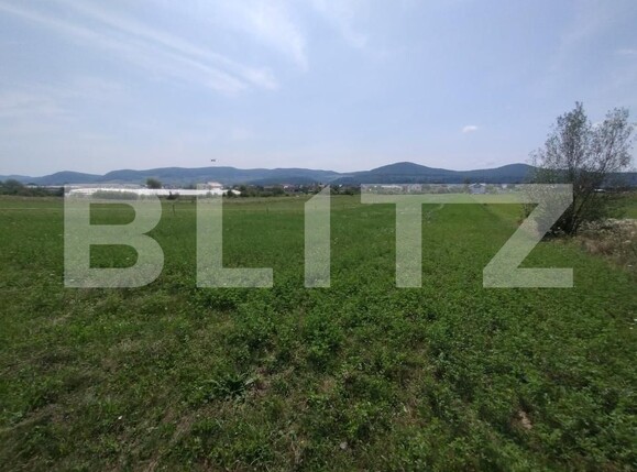 Teren de vânzare Exterior Sud - 184808TV | BLITZ Bistriţa | Poza1