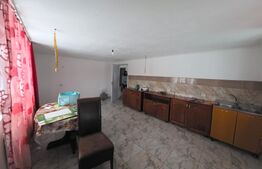 Casa de vanzare - Josenii Bargaului