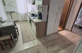 Apartament 2 camere, zona Decebal