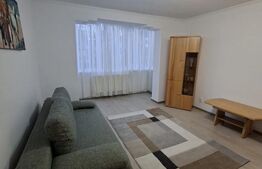 Apartament cu 2 camere de închiriat – Calea Moldovei