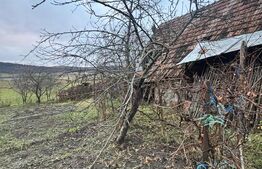 Casă tradițională bătrânească în Galatii Bistriței, cu teren generos și anexe 