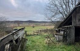 Casă tradițională bătrânească în Galatii Bistriței, cu teren generos și anexe 