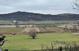 Casă tradițională bătrânească în Galatii Bistriței, cu teren generos și anexe 