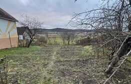 Casă tradițională bătrânească în Galatii Bistriței, cu teren generos și anexe 