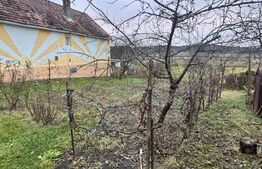 Casă tradițională bătrânească în Galatii Bistriței, cu teren generos și anexe 