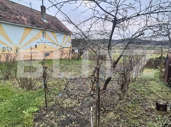 Casa de vânzare 5 camere Sud-Est - 185200CV | BLITZ Bistriţa | Poza4