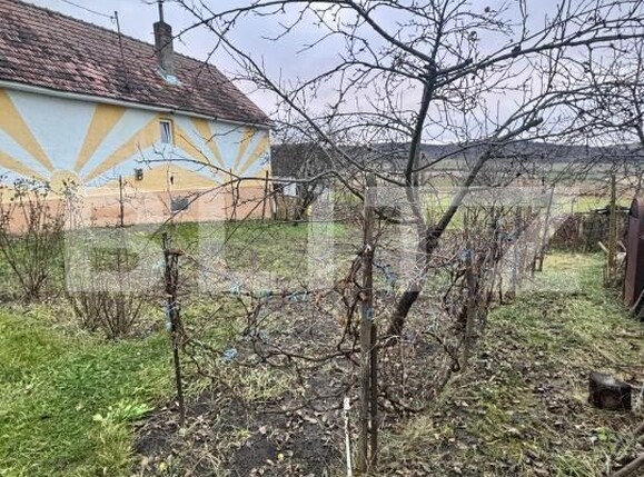 Casa de vânzare 5 camere Sud-Est - 185200CV | BLITZ Bistriţa | Poza13