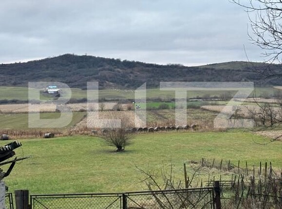 Casa de vânzare 5 camere Sud-Est - 185200CV | BLITZ Bistriţa | Poza5