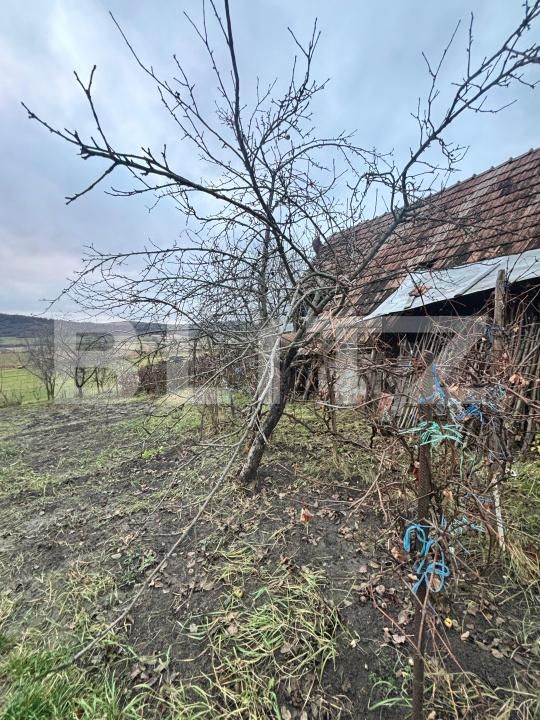 Casa de vânzare 5 camere Sud-Est - 185200CV | BLITZ Bistriţa | Poza19