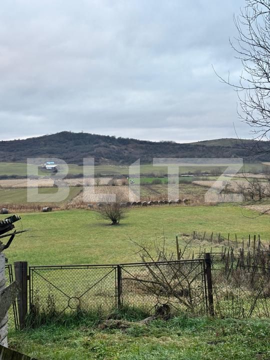 Casa de vânzare 5 camere Sud-Est - 185200CV | BLITZ Bistriţa | Poza5