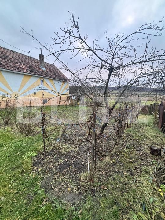 Casa de vânzare 5 camere Sud-Est - 185200CV | BLITZ Bistriţa | Poza4