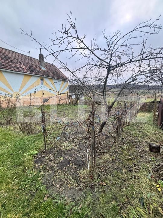 Casa de vânzare 5 camere Sud-Est - 185200CV | BLITZ Bistriţa | Poza13