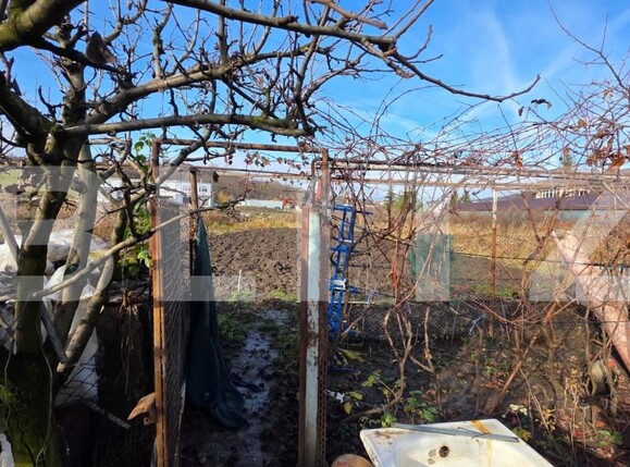 Teren de vânzare Industrială - 185204TV | BLITZ Bistriţa | Poza1