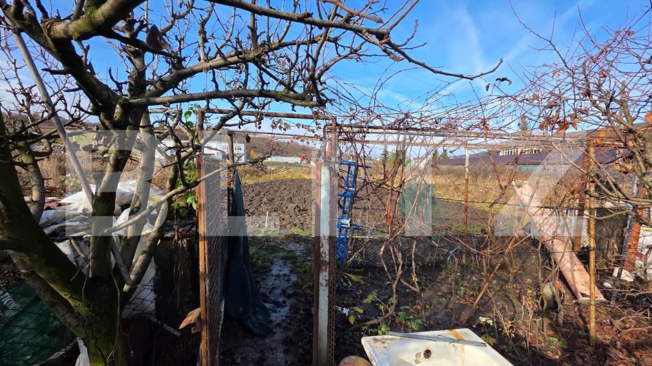 Teren de vânzare Industrială - 185204TV | BLITZ Bistriţa | Poza5