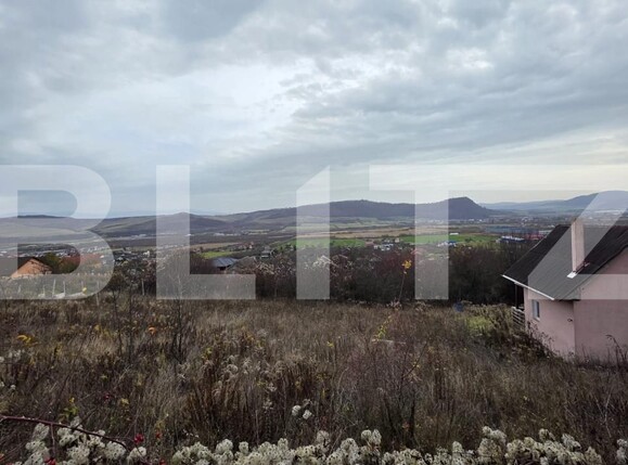 Teren de vânzare Sud-Vest - 185205TV | BLITZ Bistriţa | Poza4