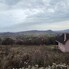 Teren de vânzare Sud-Vest - 185205TV - Poza 1 din 4 | BLITZ Bistriţa | Poza4
