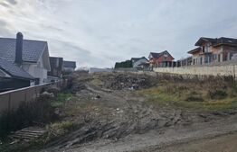 Teren de vânzare Sud - 185239TV | BLITZ Bistriţa | Poza4