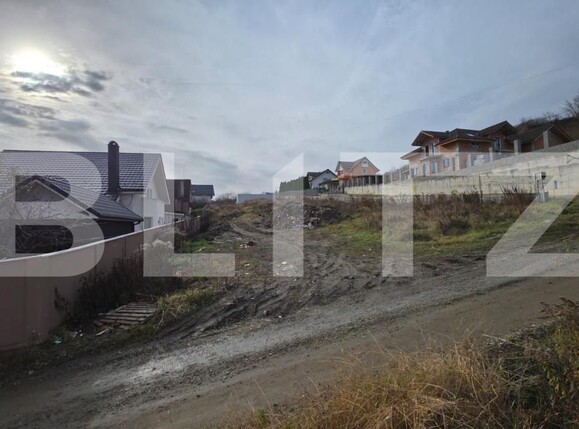 Teren de vânzare Sud-Vest - 185206TV | BLITZ Bistriţa | Poza2