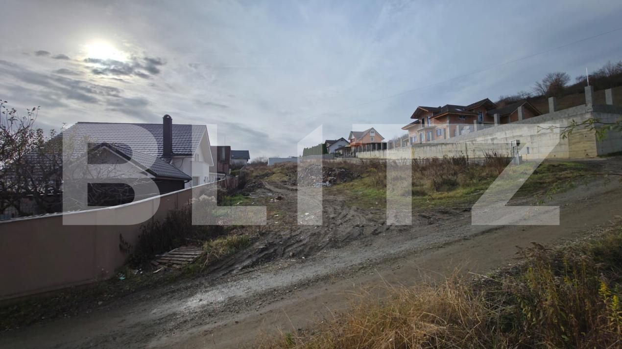 Teren de vânzare Sud-Vest - 185206TV | BLITZ Bistriţa | Poza2