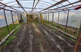 Proprietate generoasă, 10 camere, 750 mp, zona Unirea