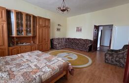 Proprietate generoasă, 10 camere, 750 mp, zona Unirea