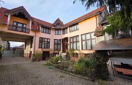 Proprietate generoasă, 10 camere, 750 mp, zona Unirea