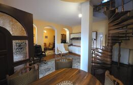 Proprietate generoasă, 10 camere, 750 mp, zona Unirea